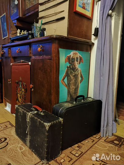 Фотосессия Гарри Поттер в Зеленограде