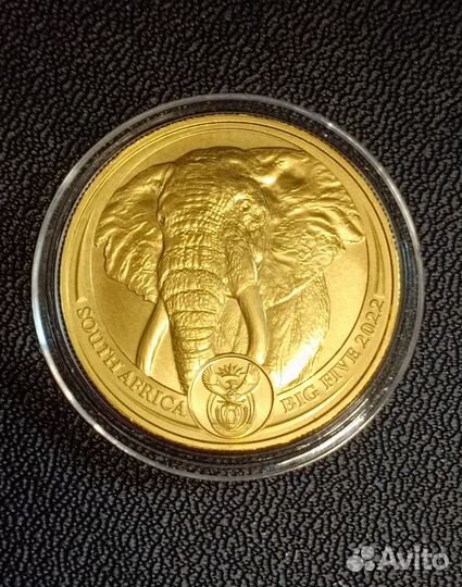 Золотая монета 