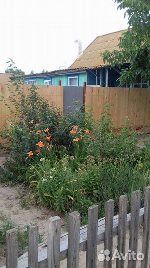 Рыбалка и охота в Астрахани