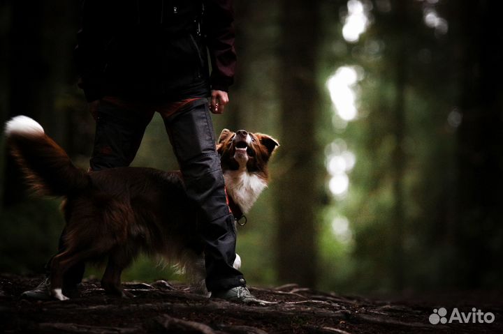 Фотограф-анималист в Санкт-Петербурге