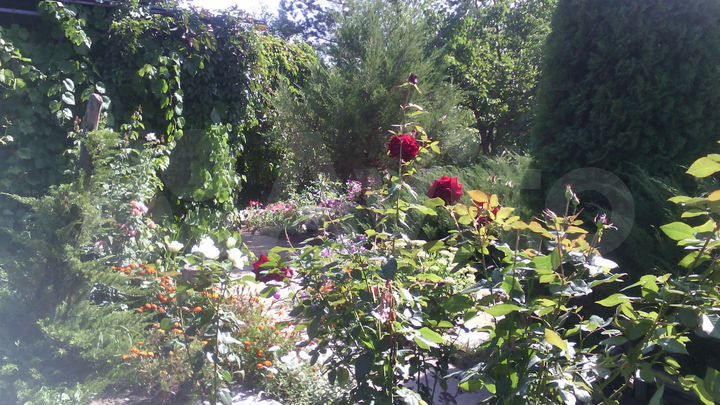 Дача 53 м² на участке 6,2 сот.