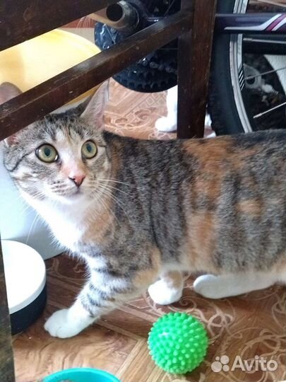 Алиса 11 мес