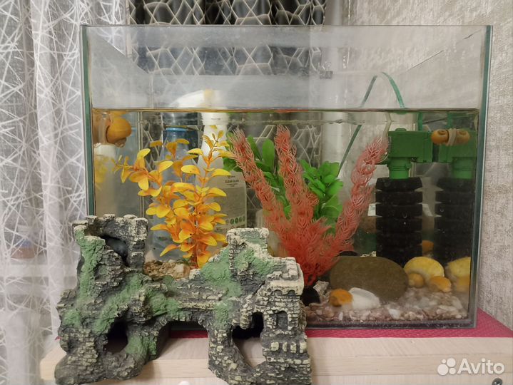 Аквариум 25л