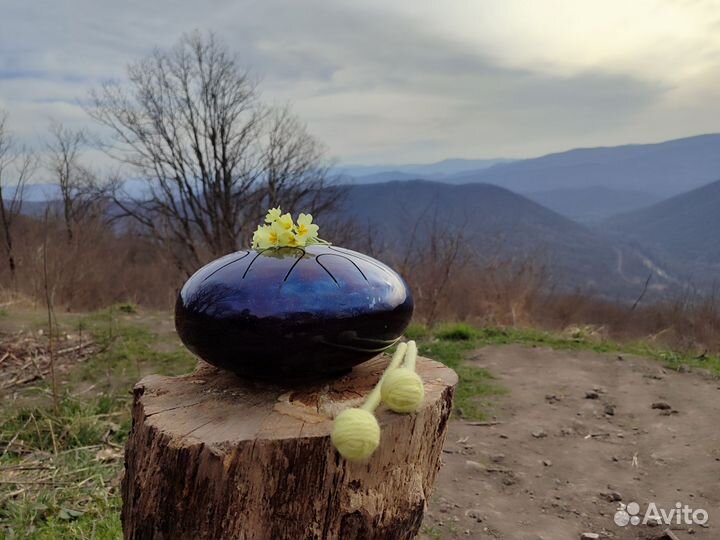 Глюкофон 22 см