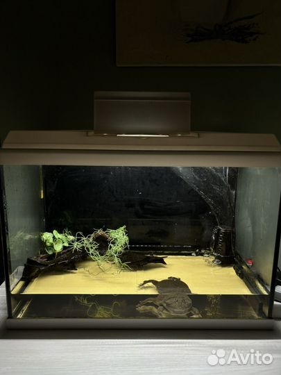 Аквариум 70л