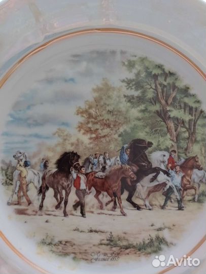 Тарелки редкие