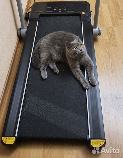 Беговая дорожка электрическая