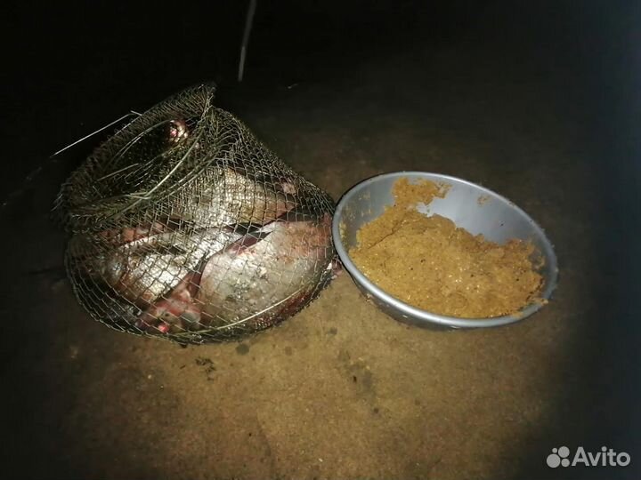 Прикормка рыболовная на основе бойловой крошки