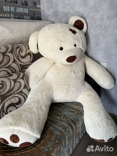 Большие плюшевые медведи