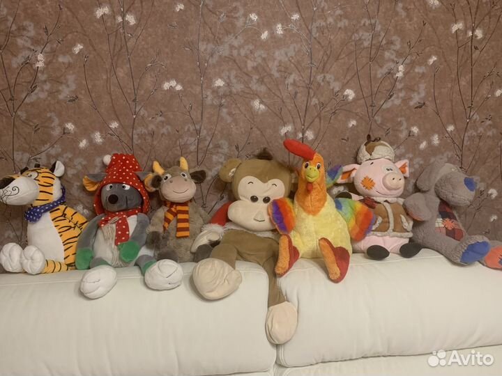 Отдам бесплатно