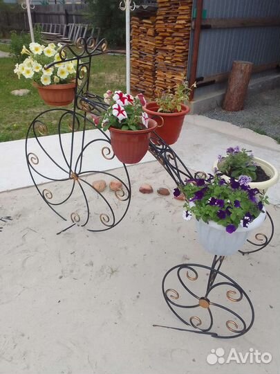 Цветочницы