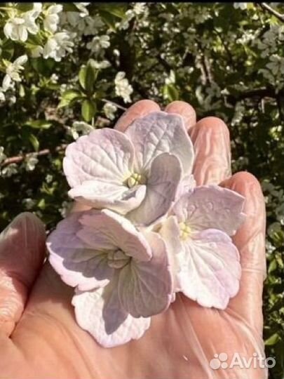 Силиконовая форма гортензия