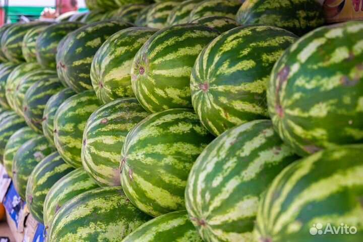 Арбузы Иран оптом и розницу с доставкой