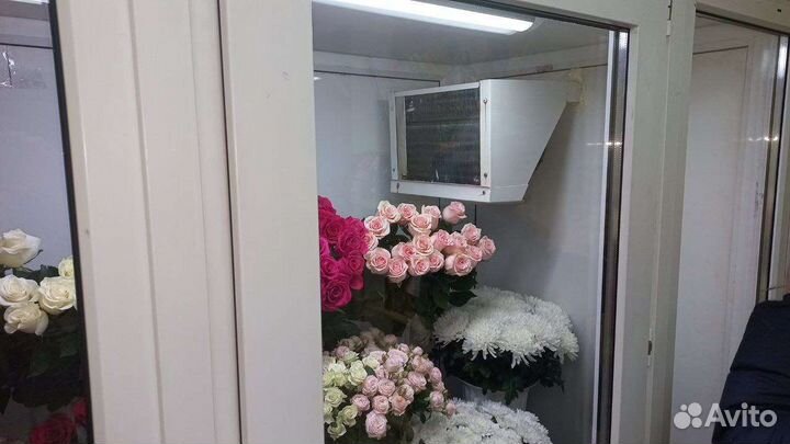 Ремонт бытовых и промышленных холодильников