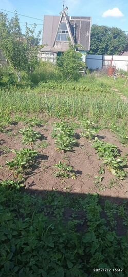 Дача 21,5 м² на участке 9 сот.