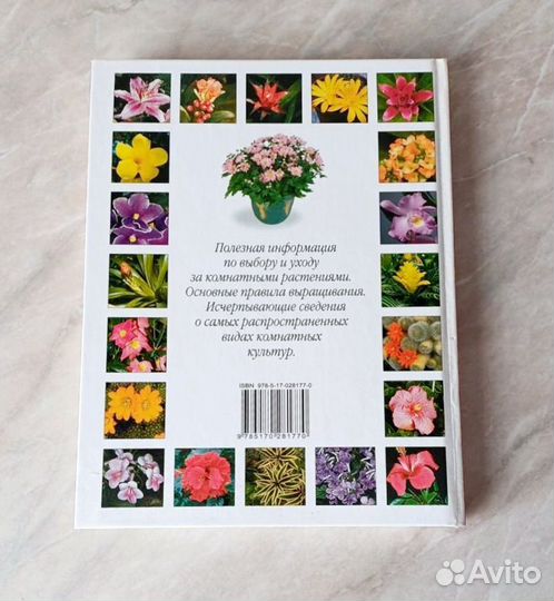 Энциклопедия Комнатные Растения