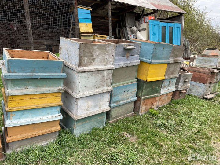 Ульи для пчел