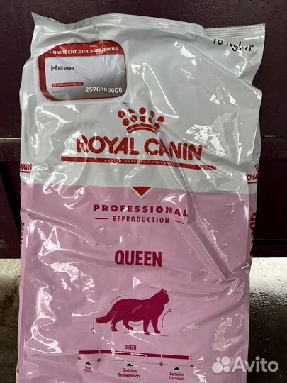 Корм для беременных и кормящих