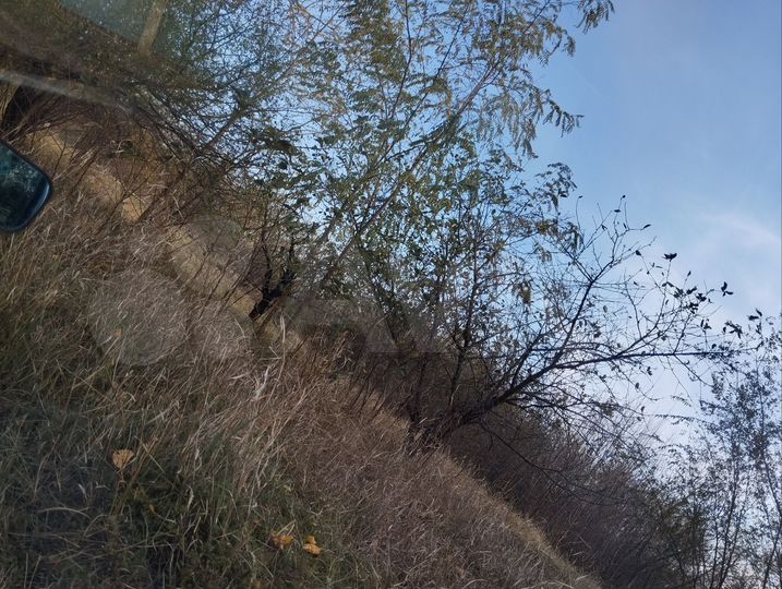 Участок 25 сот. (ИЖС)