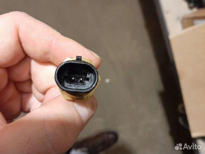 Датчик температуры тосола и масла M11,N14 3865312