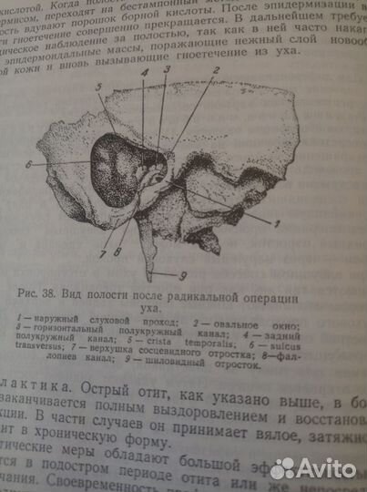 Болезни уха, носа и горла. Б. С. Преображенский