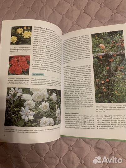 Розы справочник, все цветы на вашем участке