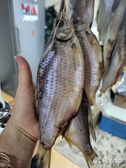 Азовская тарань