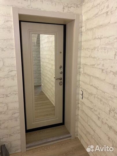 Дверь металлическая с зеркалом