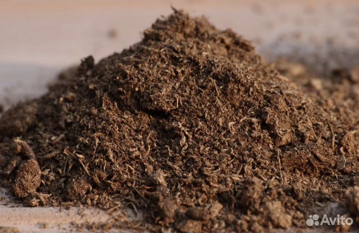 Перегной птичий бесплатно, самовывоз с.Грабово