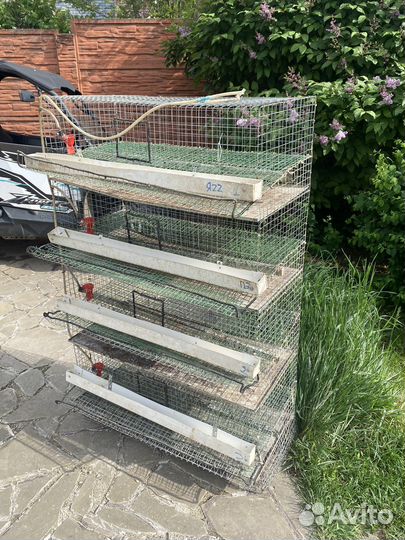 Клетки для перепелов на 120 голов