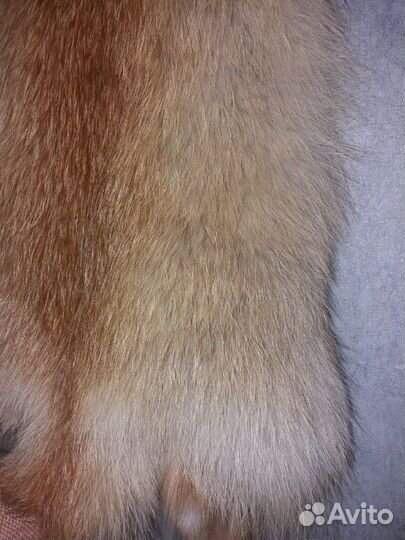 Шкурка животного