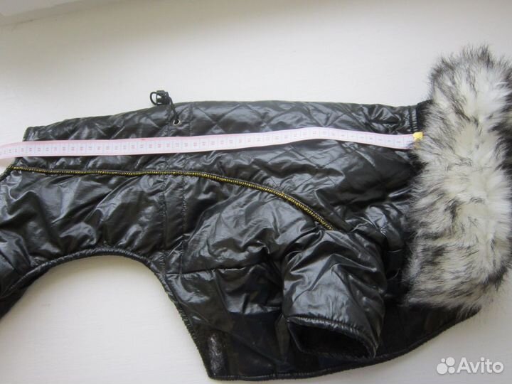 Одежда для собак