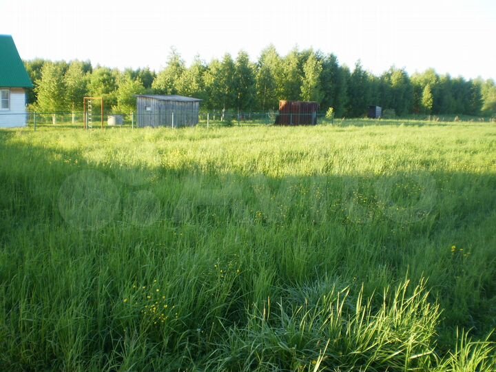 Участок 29,4 сот. (ИЖС)