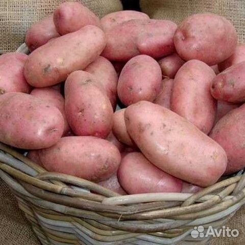 Картофель и другие овощи с бесплатной доставкой объявление продам