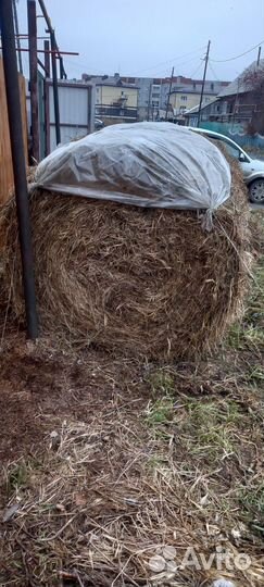 Сено в тюках и мешках