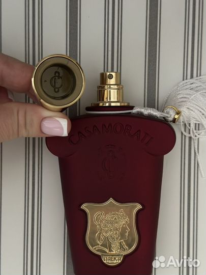 Casamorati italica распив