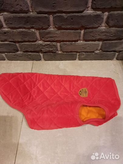 Одежда для собак