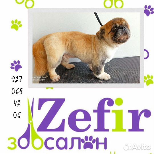 Стрижка собак и кошек