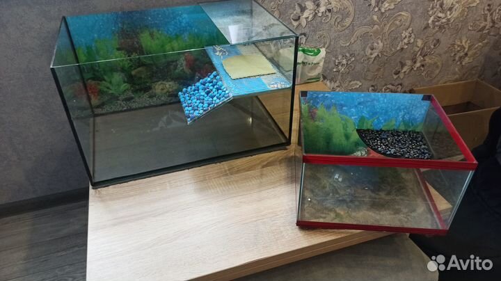 Террариум для красноухой черепахи