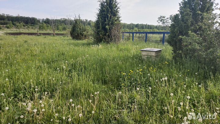 Идеальная луговая трава сено