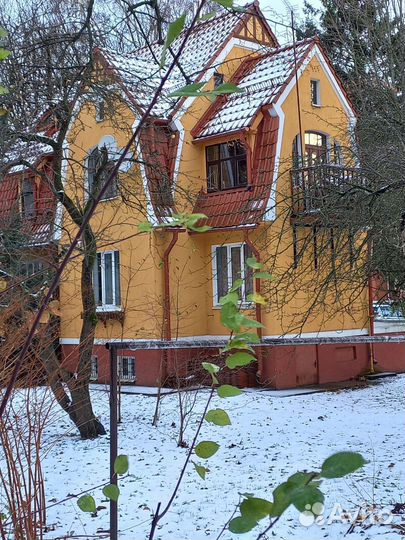 Лучшие экскурсии по Светлогорску, Пионерскому