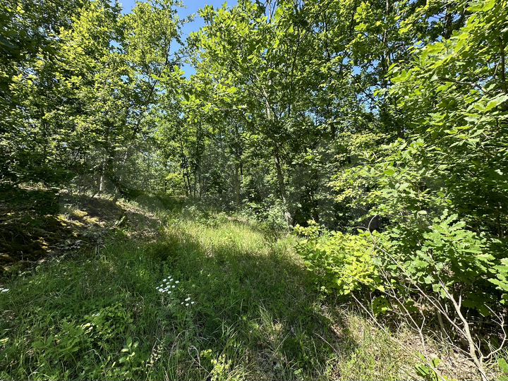 Участок 12 сот. (СНТ, ДНП)