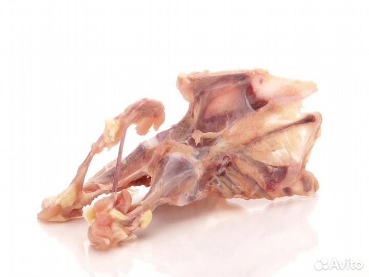 Куринный каркас