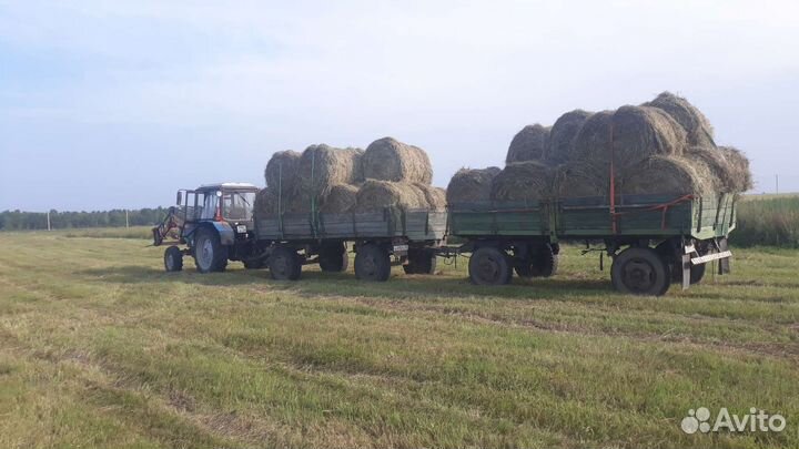 Сено Иркутский район