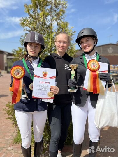 Лошадь в аренду занятия верховой ездой