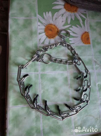 Строгий ошейник для собак