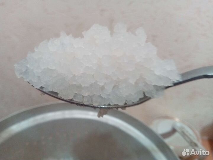 Индийский морской рис (рисовый гриб)