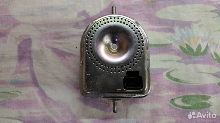 Сирена фокус 3