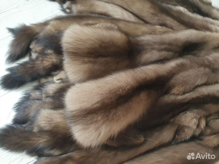 Продам шкуры соболя