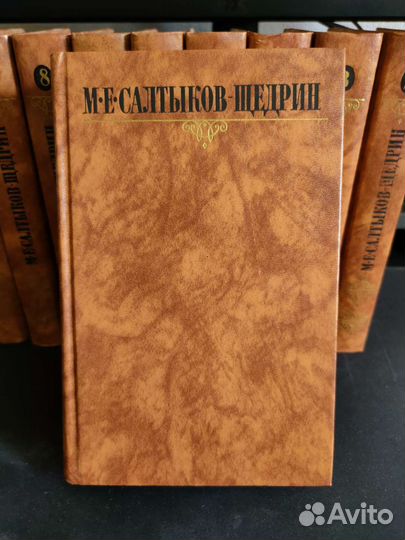 Салтыков-Щедрин 